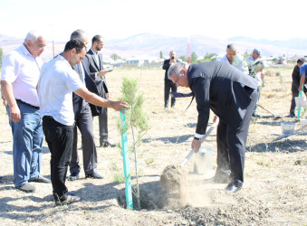 Ağsu rayonunda 27 Sentyabr – Anım günü qeyd olunub, ağacəkmə aksiyası keçirilib