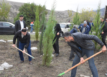 Ağsu rayonunda “Yaşıl dünya naminə həmrəylik ili” çərçivəsində ağacəkmə aksiyası keçirilib