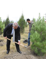 Ağsu rayonunda 27 Sentyabr – Anım günü silsilə tədbirlərlə qeyd olunub