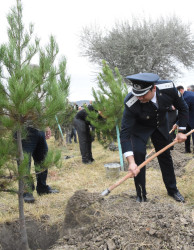 Ağsu rayonunda 27 Sentyabr – Anım günü silsilə tədbirlərlə qeyd olunub