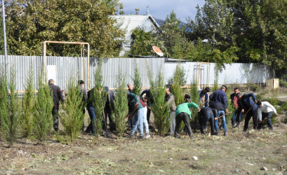 Ağsu rayonunda “Yaşıl dünya naminə həmrəylik ili” çərçivəsində növbəti ağacəkmə aksiyaları keçirilib