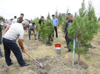 Ağsu rayonunda 27 Sentyabr – Anım günü silsilə tədbirlərlə qeyd olunub