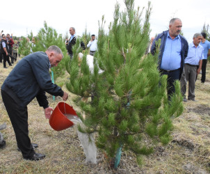 Ağsu rayonunda 27 Sentyabr – Anım günü silsilə tədbirlərlə qeyd olunub